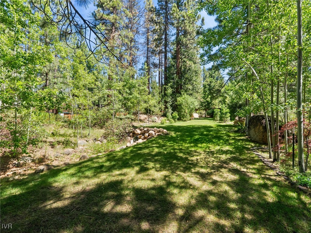 275 Deer Court Property Photo 28