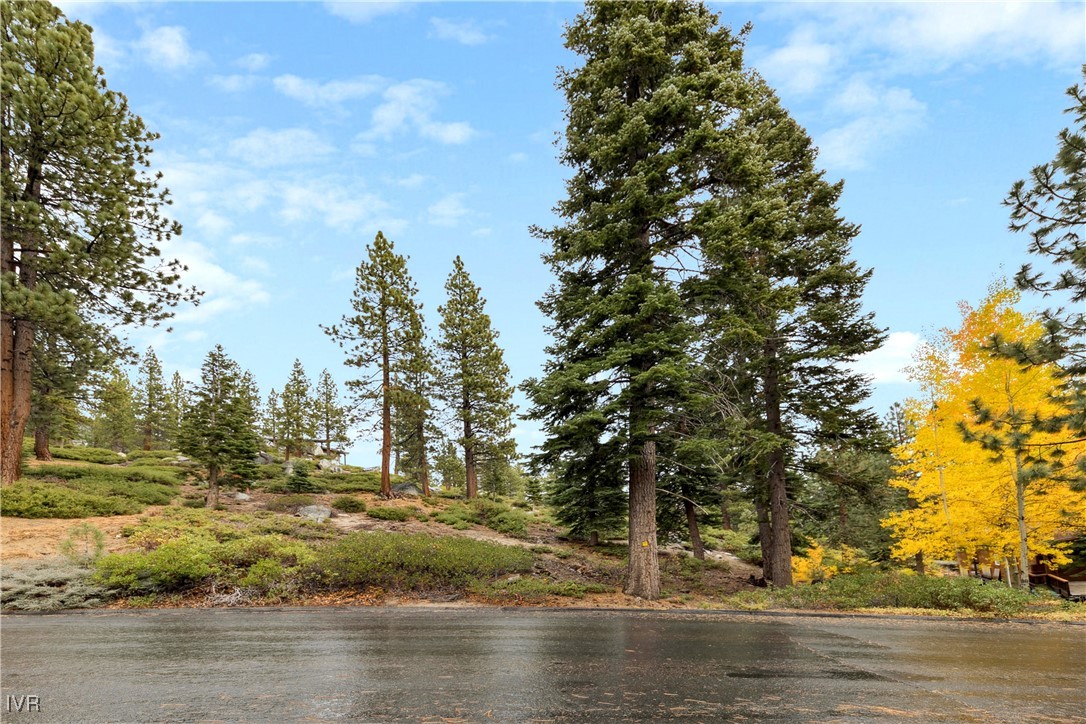 771 Randall Avenue Property Photo 46