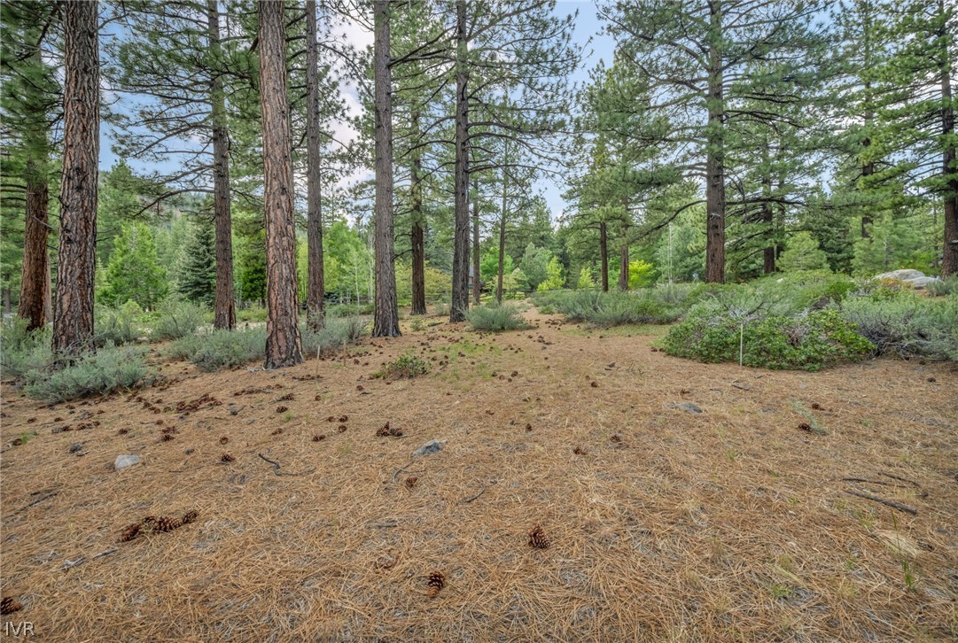 307 E Jeffrey Pine Rd Property Photo 1