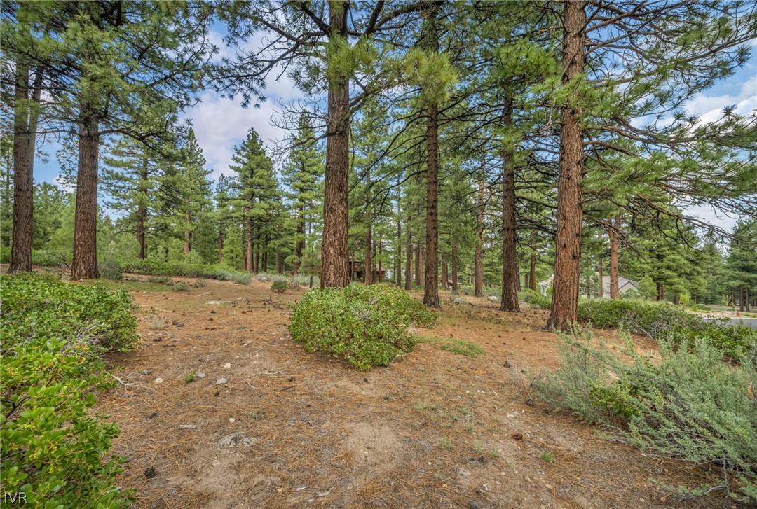 307 E Jeffrey Pine Rd Property Photo 7