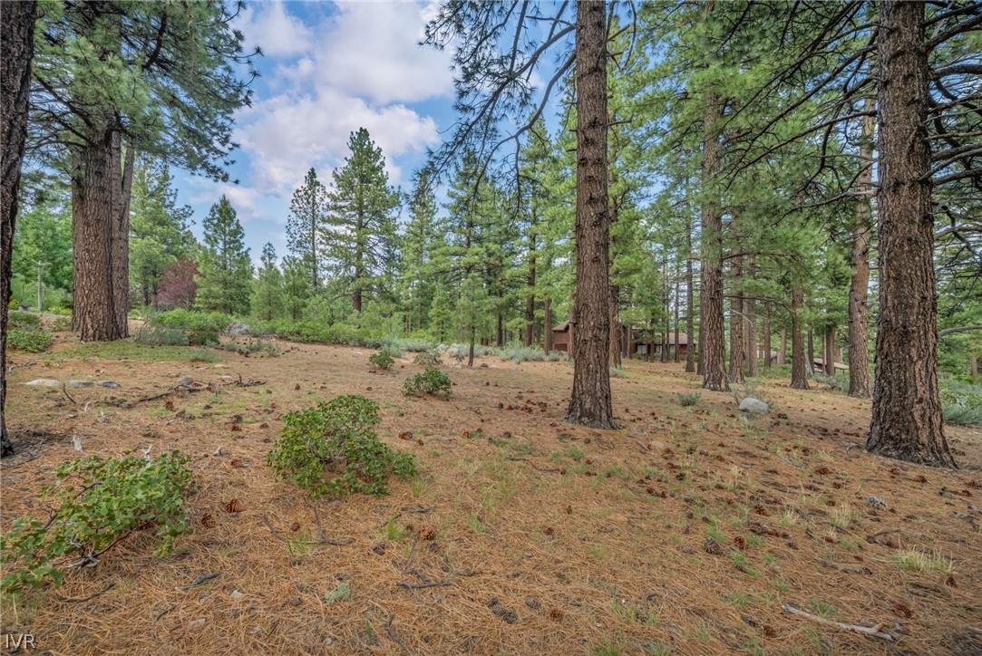 307 E Jeffrey Pine Rd Property Photo 8