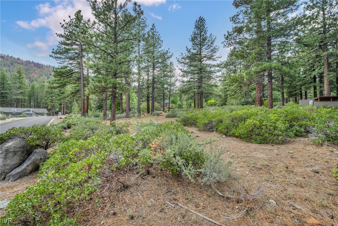 307 E Jeffrey Pine Rd Property Photo 9