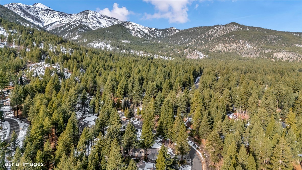 307 E Jeffrey Pine Rd Property Photo 11