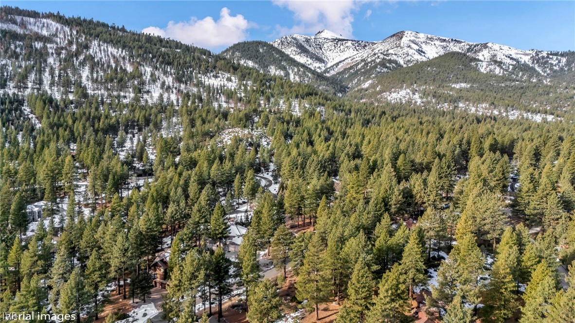307 E Jeffrey Pine Rd Property Photo 12