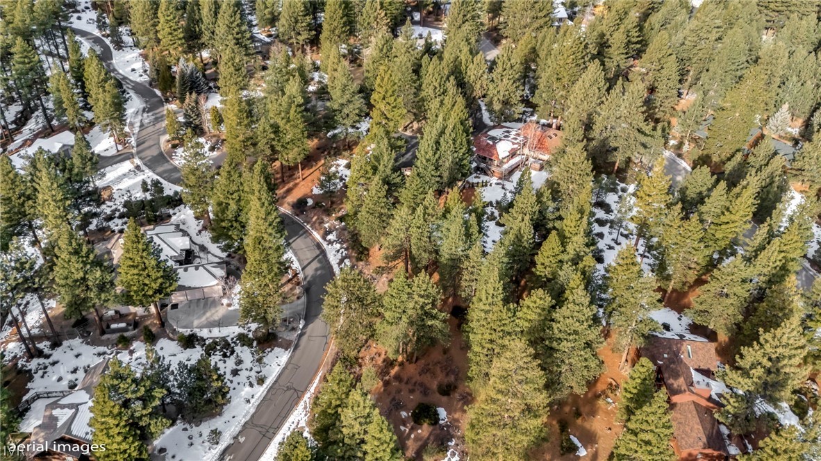307 E Jeffrey Pine Rd Property Photo 13