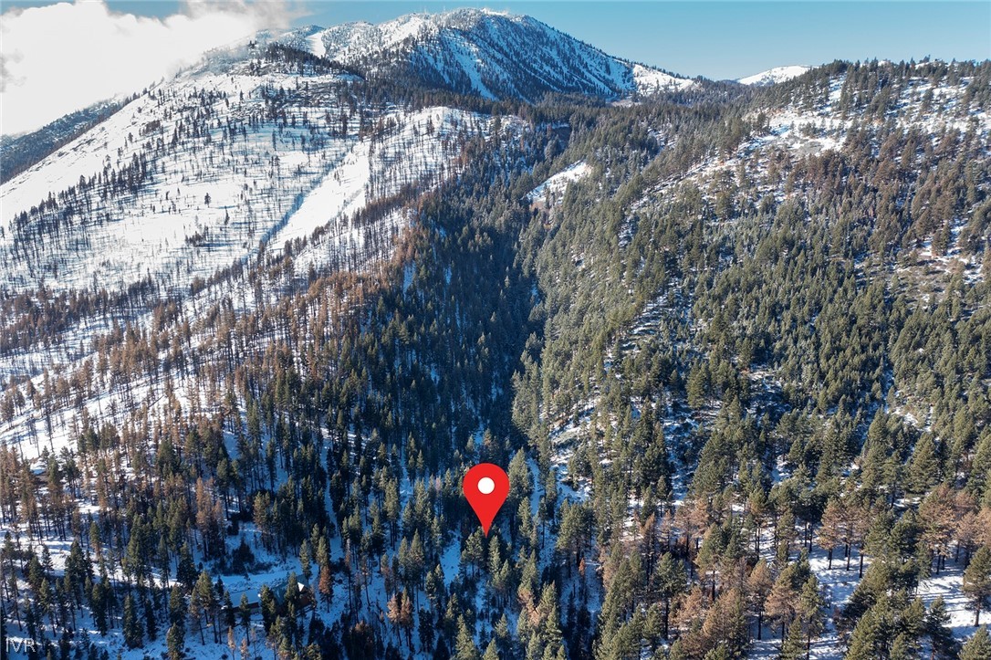 20102 Hibbet Trail Property Photo 29
