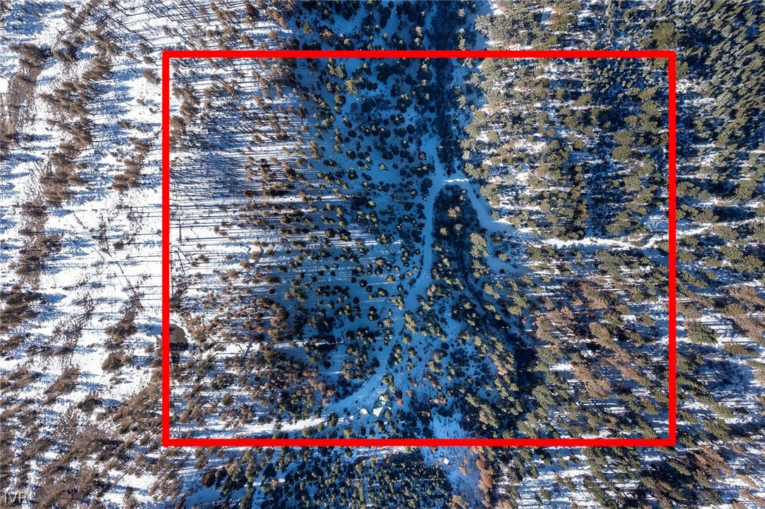20102 Hibbet Trail Property Photo 30