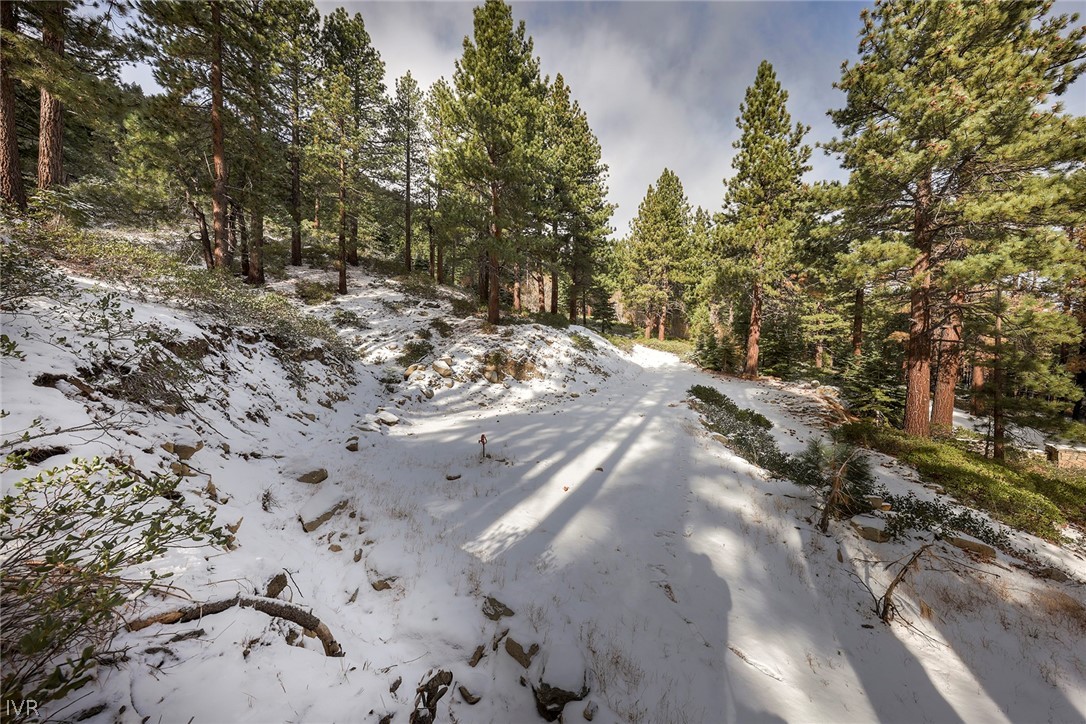 20102 Hibbet Trail Property Photo 33