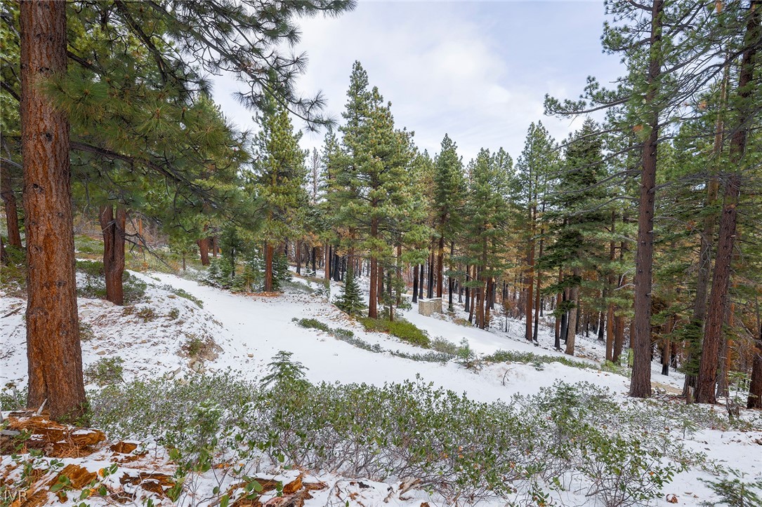 20102 Hibbet Trail Property Photo 34
