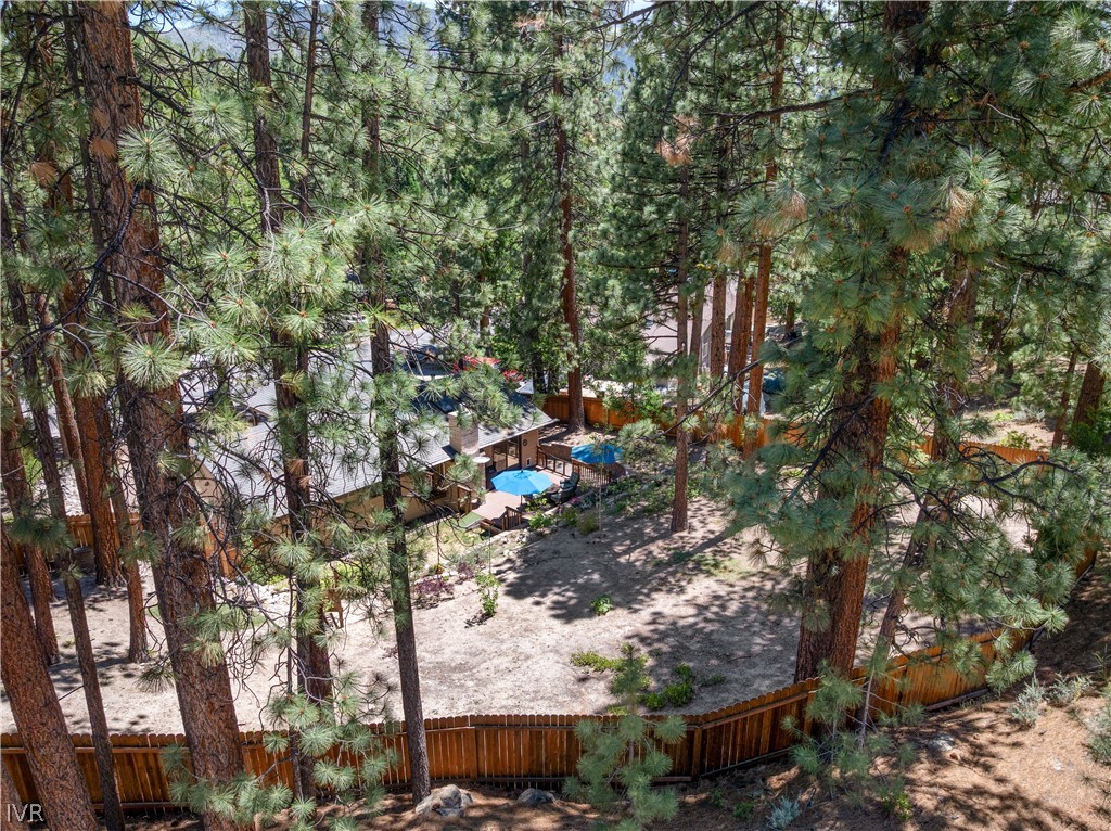 256 Mcfaul Way Property Photo 21