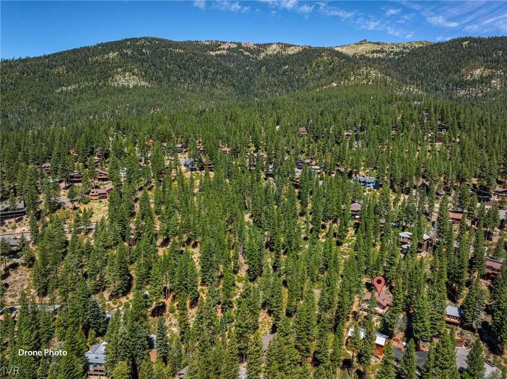570 Rockrose Court Property Photo 8