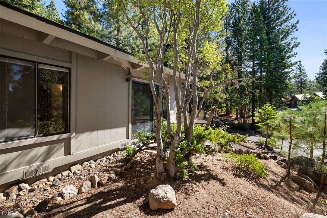 1019165 Property Photo 21
