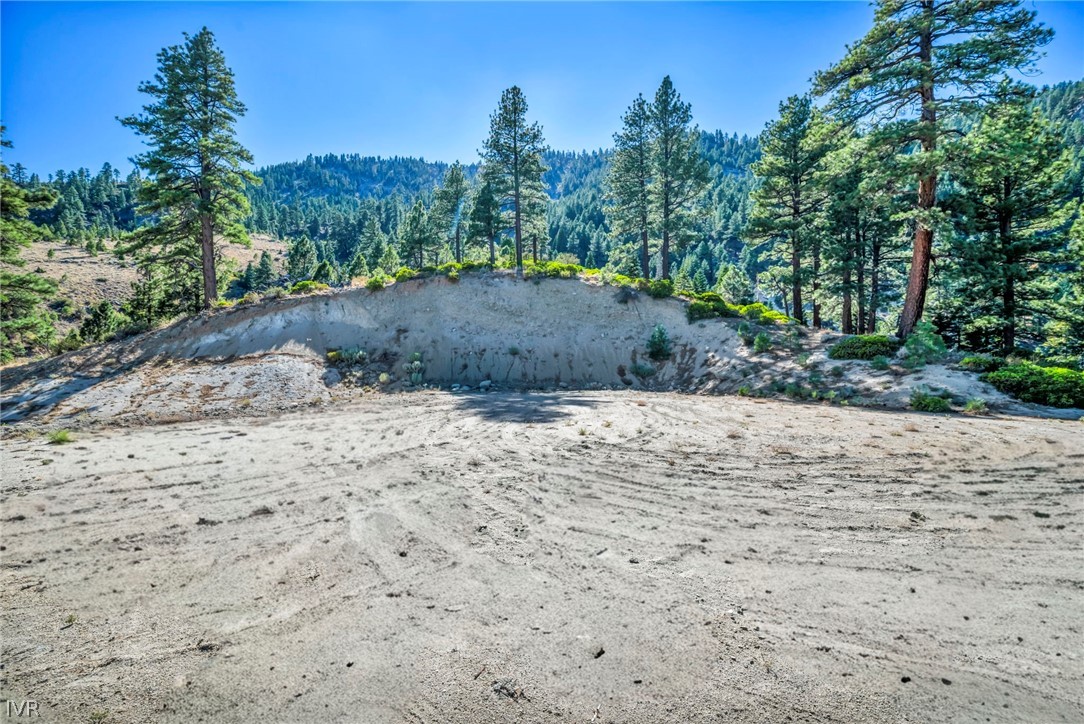 0 Jacks Valley Property Photo 2