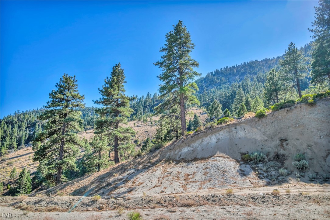0 Jacks Valley Property Photo 3
