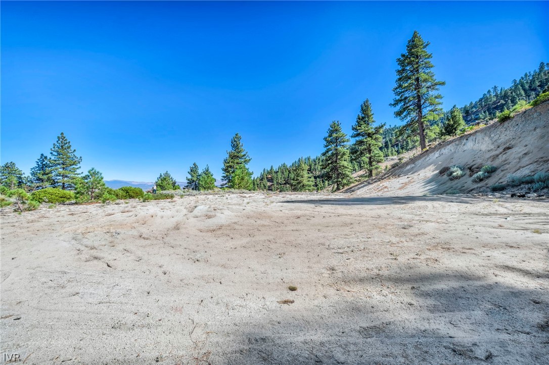 0 Jacks Valley Property Photo 4