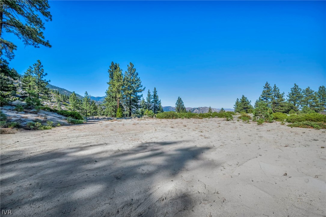 0 Jacks Valley Property Photo 7