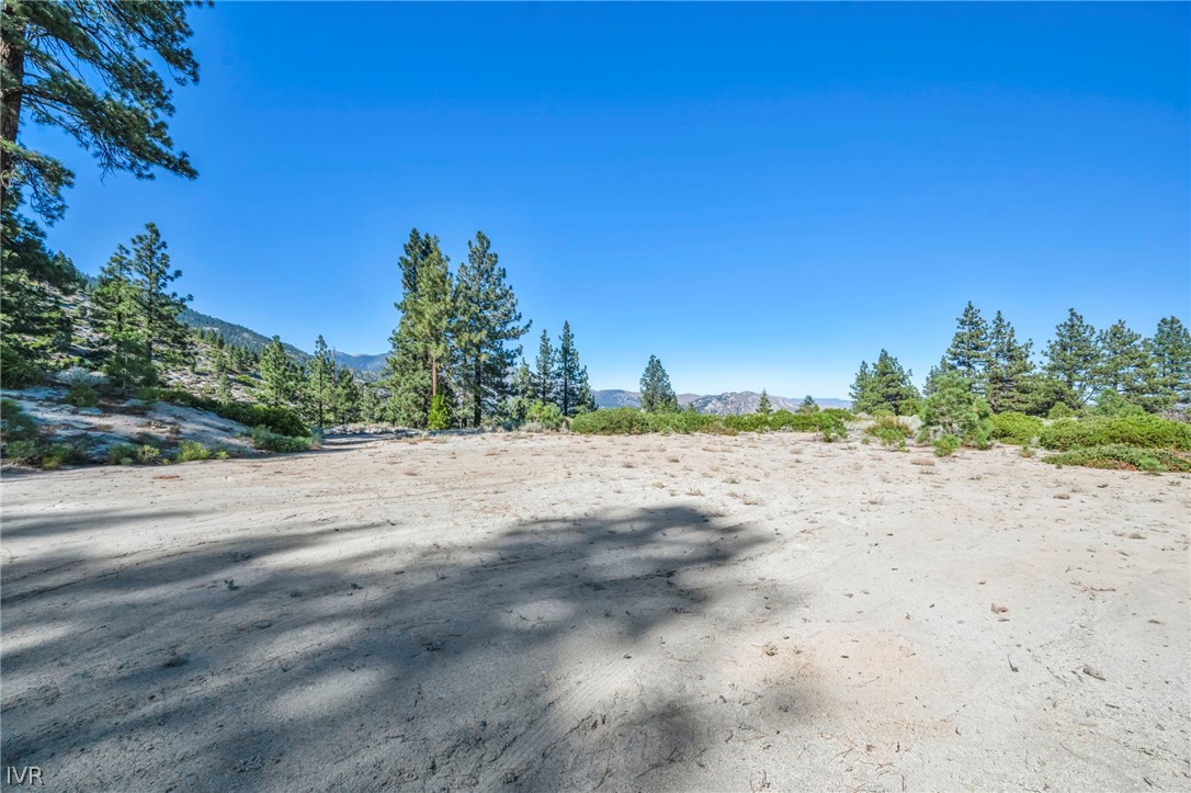0 Jacks Valley Property Photo 8