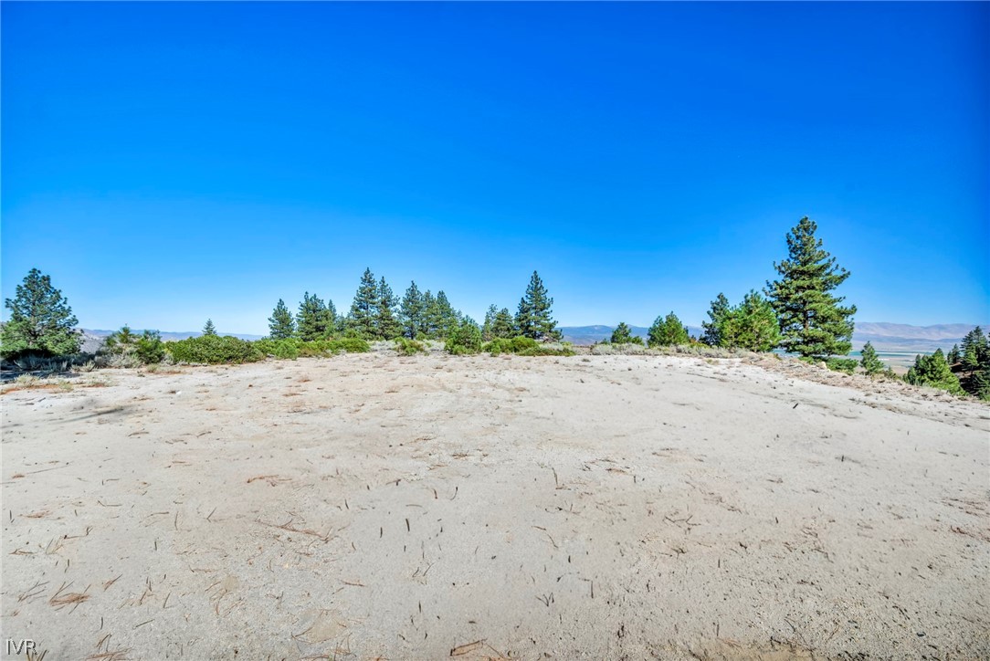 0 Jacks Valley Property Photo 9