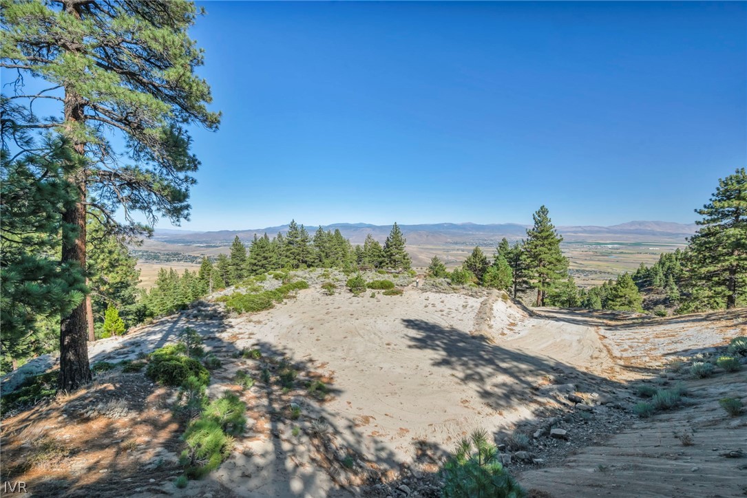 0 Jacks Valley Property Photo 12