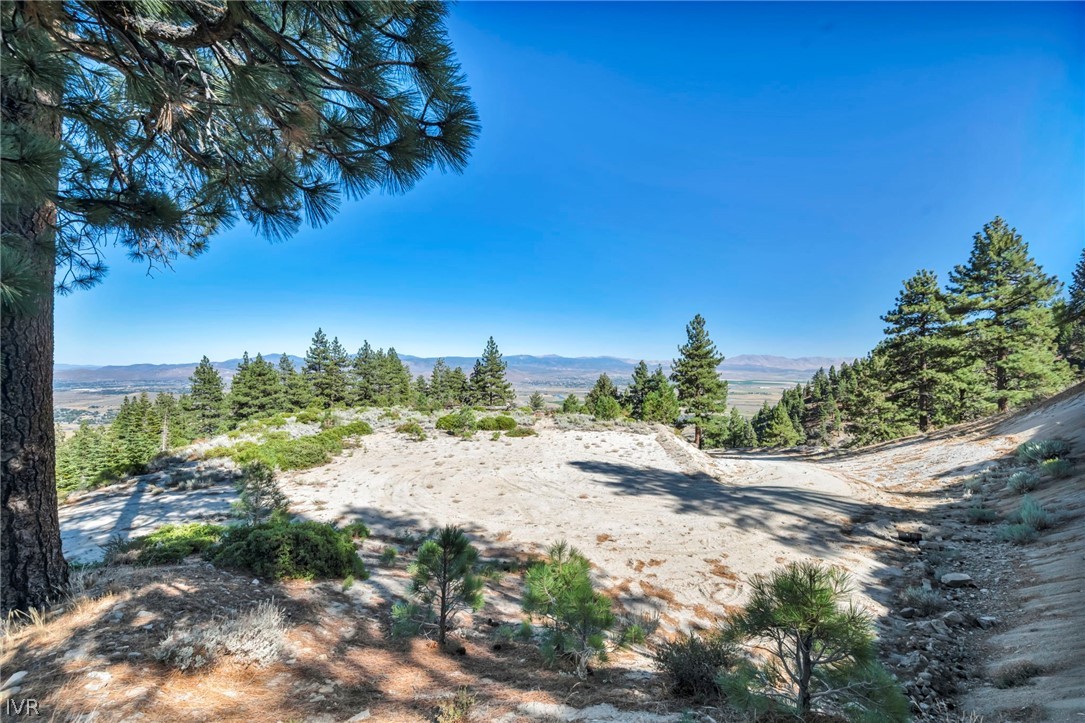 0 Jacks Valley Property Photo 13