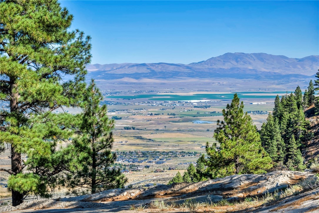 0 Jacks Valley Property Photo 14