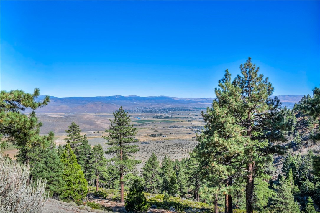 0 Jacks Valley Property Photo 15