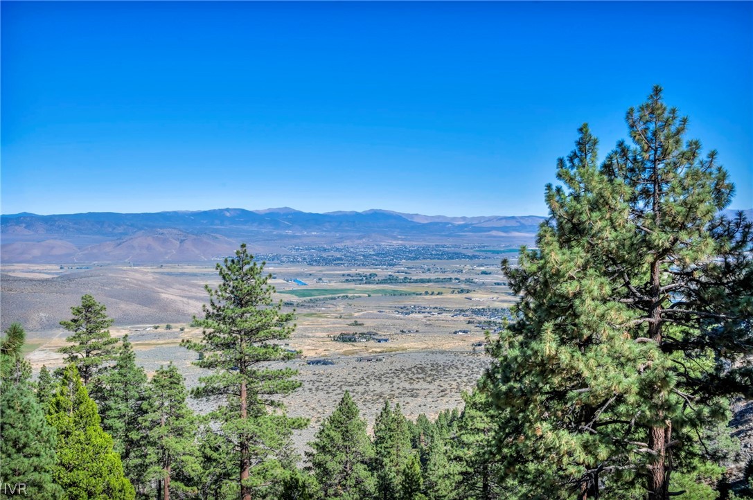 0 Jacks Valley Property Photo 16