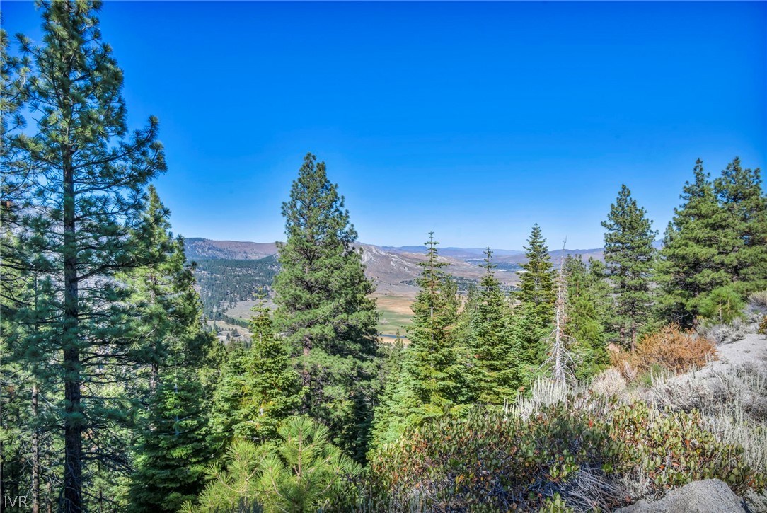 0 Jacks Valley Property Photo 17