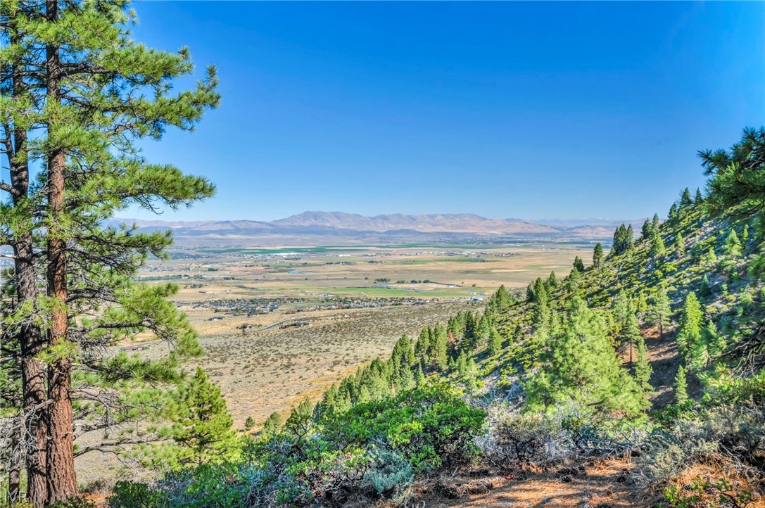 0 Jacks Valley Property Photo 18