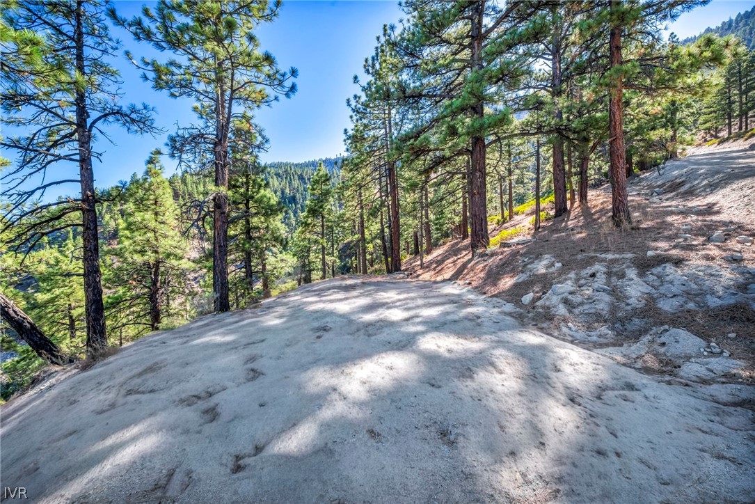 0 Jacks Valley Property Photo 19