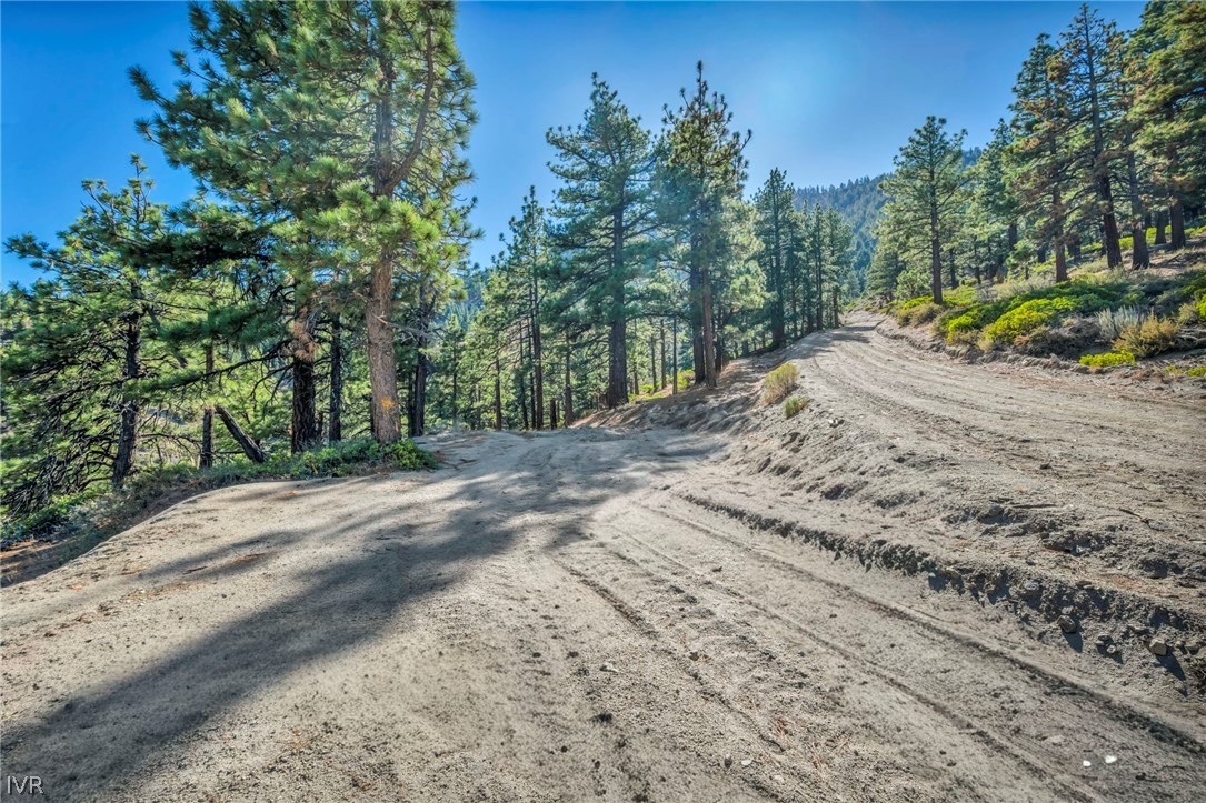 0 Jacks Valley Property Photo 22