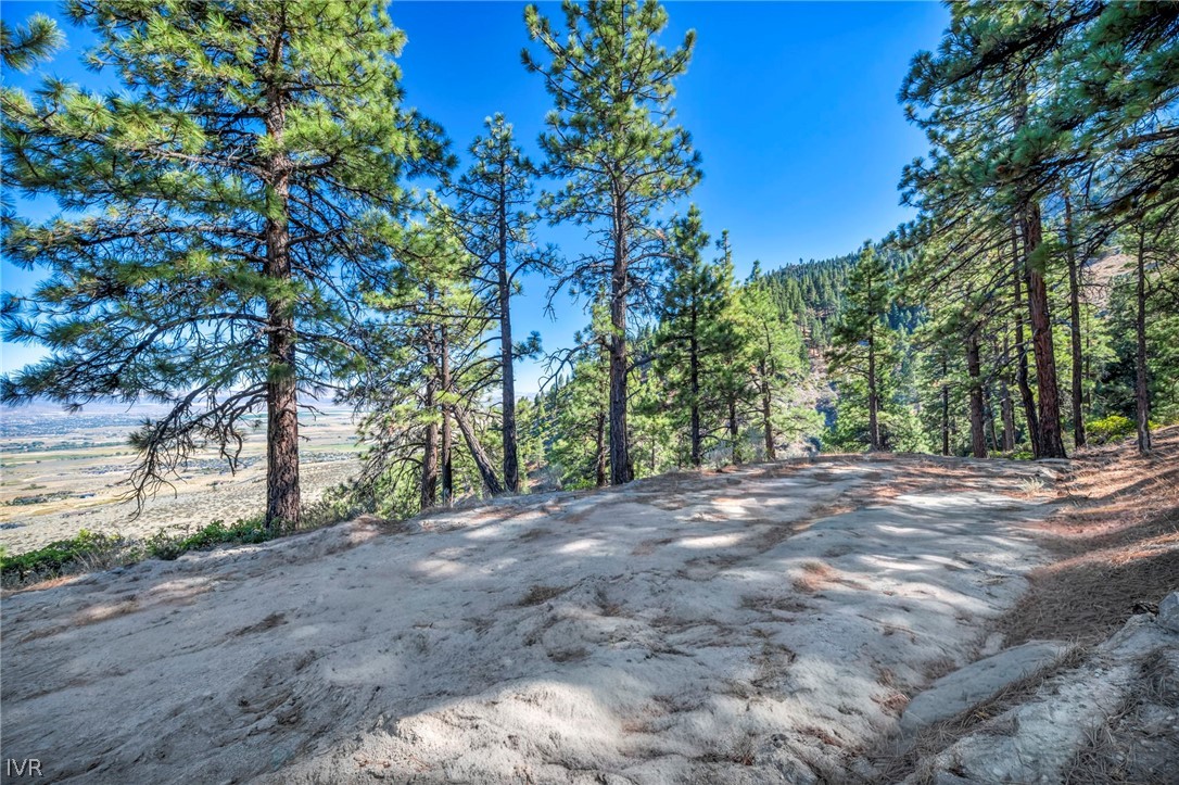 0 Jacks Valley Property Photo 24