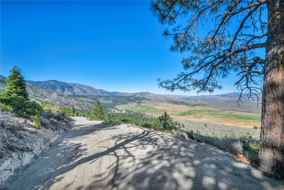 0 Jacks Valley Property Photo 25
