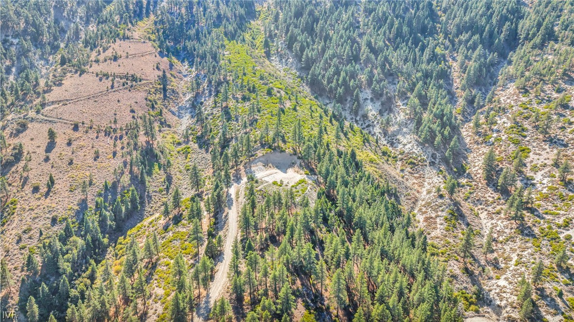 0 Jacks Valley Property Photo 30