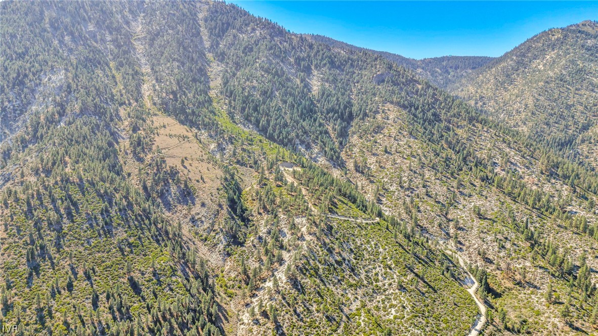 0 Jacks Valley Property Photo 31