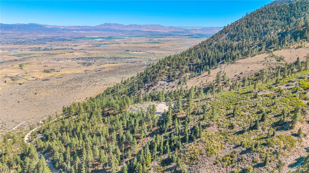 0 Jacks Valley Property Photo 34