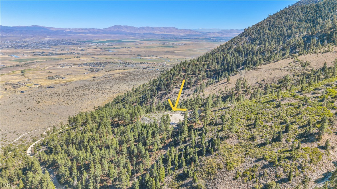 0 Jacks Valley Property Photo 35