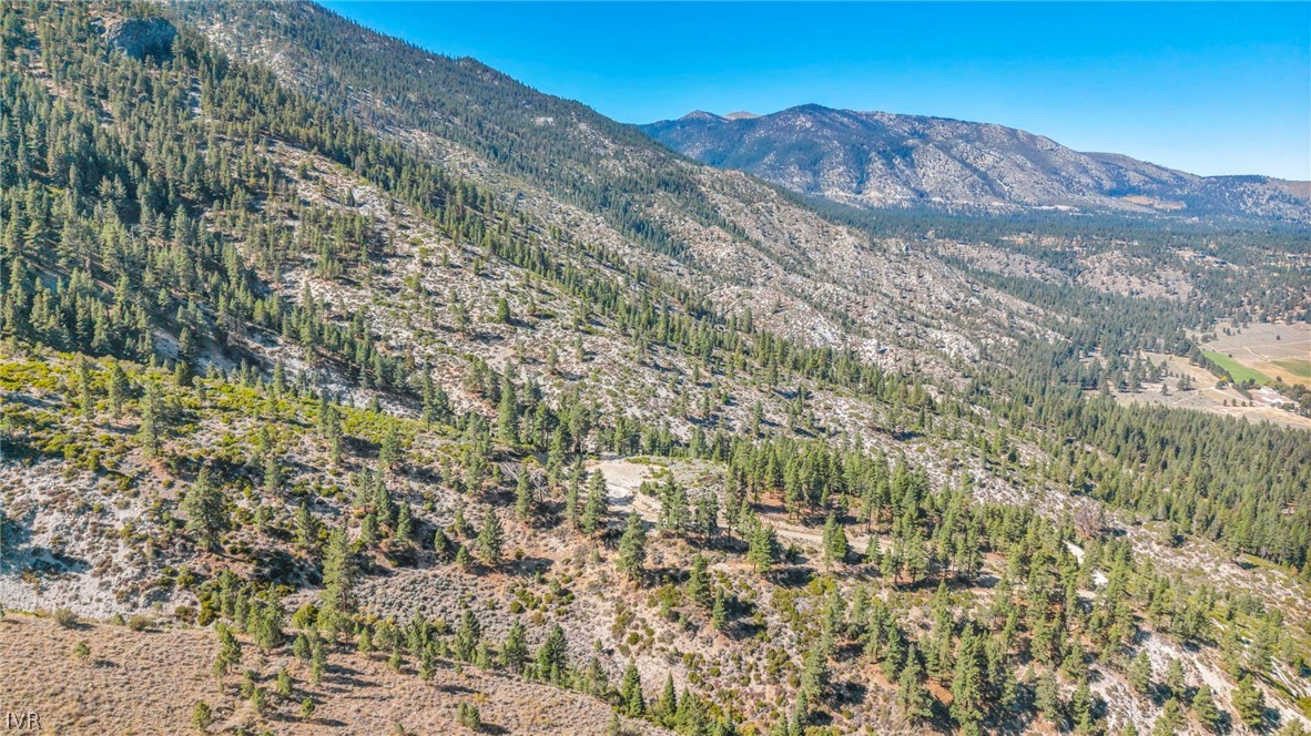 0 Jacks Valley Property Photo 36