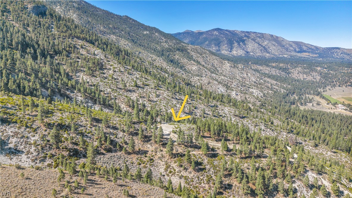 0 Jacks Valley Property Photo 37