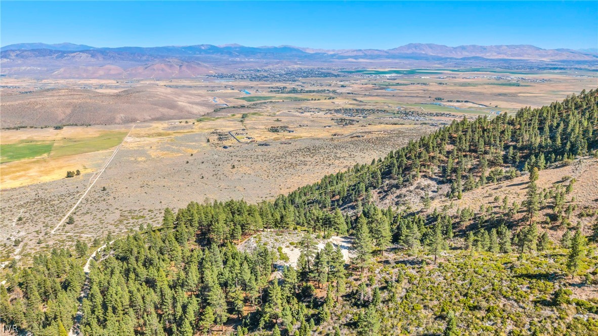 0 Jacks Valley Property Photo 40