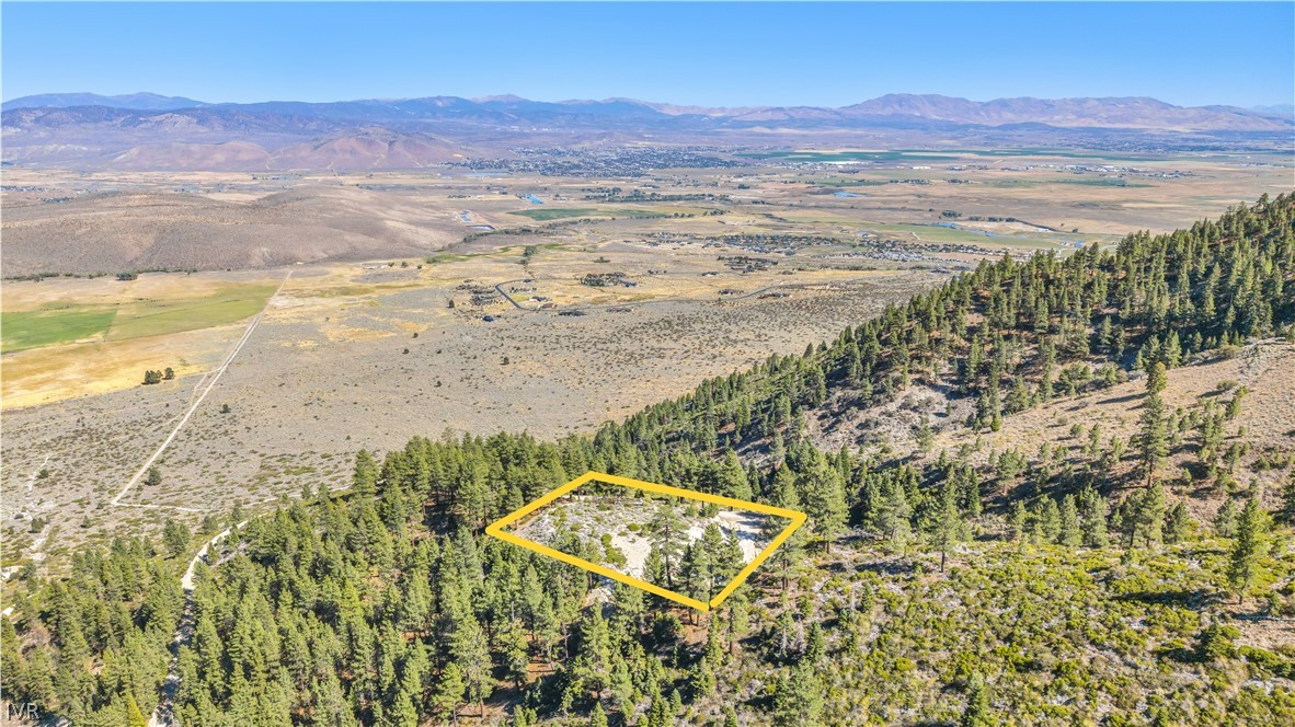0 Jacks Valley Property Photo 41
