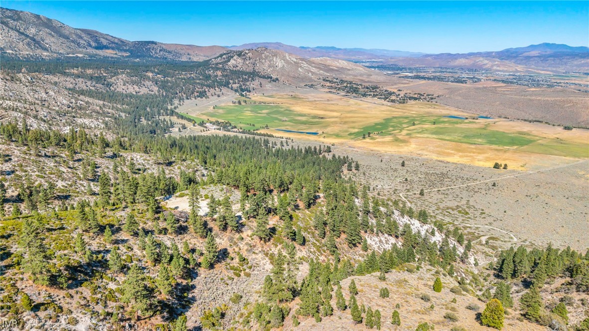 0 Jacks Valley Property Photo 42