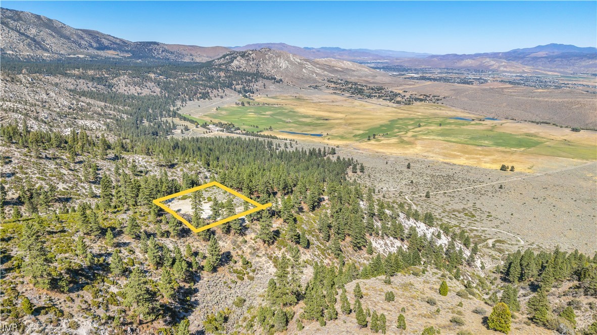 0 Jacks Valley Property Photo 43