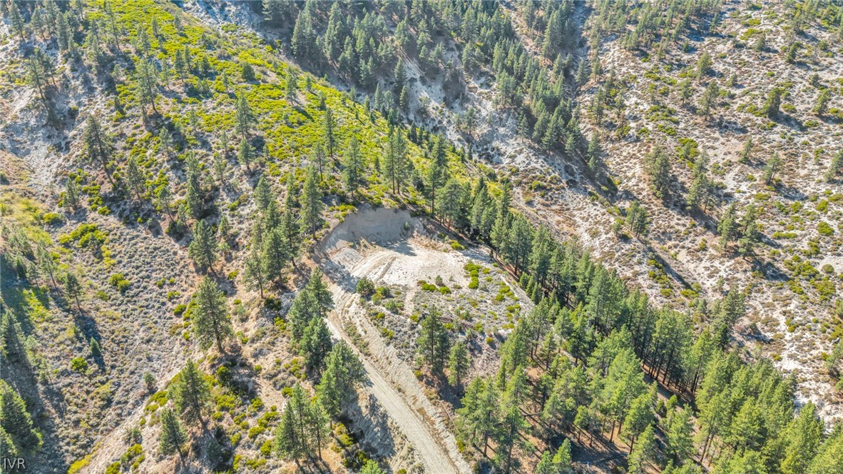 0 Jacks Valley Property Photo 45