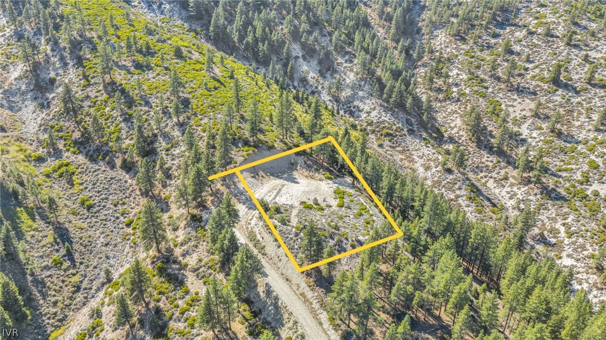 0 Jacks Valley Property Photo 46