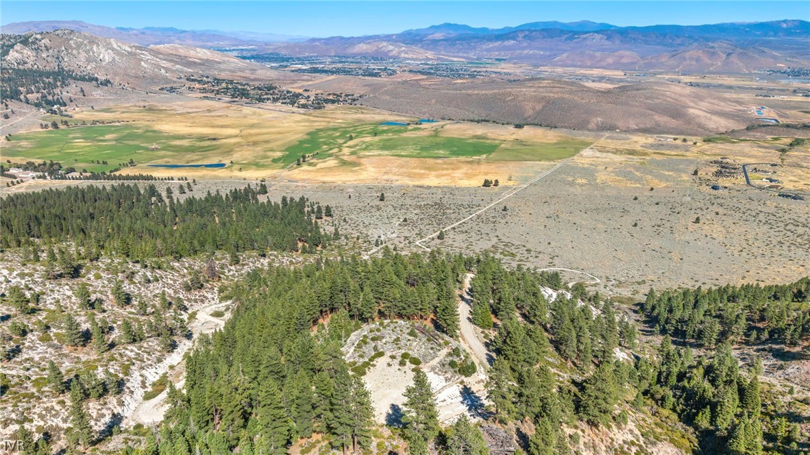0 Jacks Valley Property Photo 47