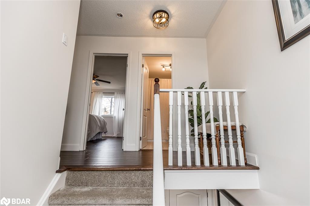 58 Natale Court Property Photo 22