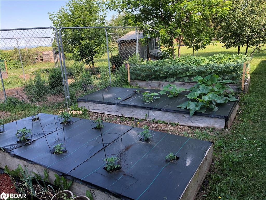 7732 9th Line Property Photo 47