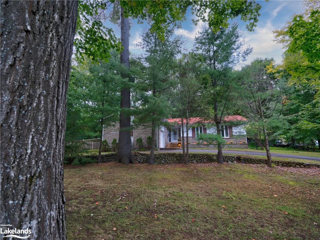 255 Alexander Street Property Photo 36