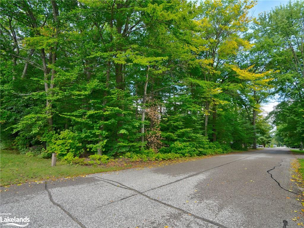 255 Alexander Street Property Photo 40